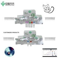ميرا القطط فيروس هيربي فيروس أدوات اكتشاف شريط اختبار الحمض النووي
