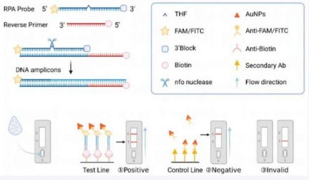 news-625-365 news-625-365